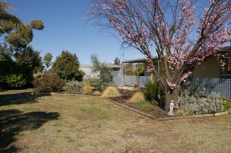 464 Kulkyne Street, RENMARK SA 5341, Renmark West - Thumbnail 3