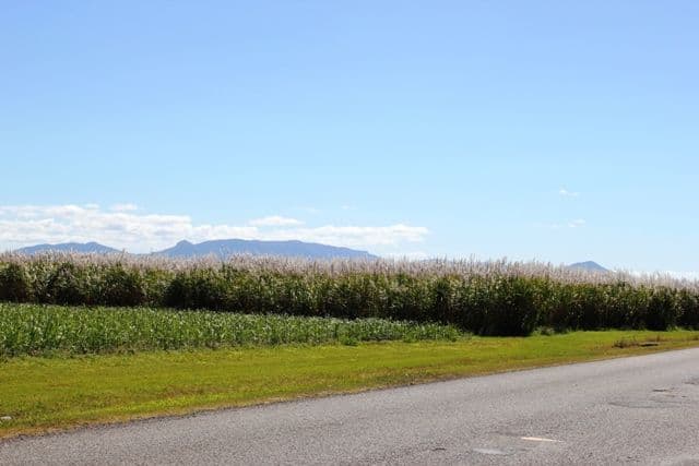 34 Blackrock Road, BLACKROCK QLD 4850, Blackrock - Thumbnail 2