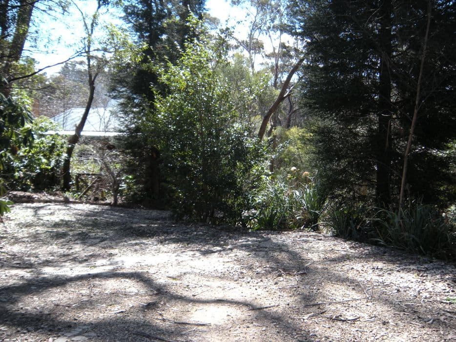 44 Clarence Road, BLACKHEATH NSW 2785, Blackheath - Thumbnail 2