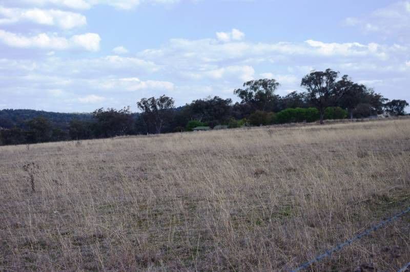 395 Old Bundarra Raod, INVERELL NSW 2360, Inverell - Image 1