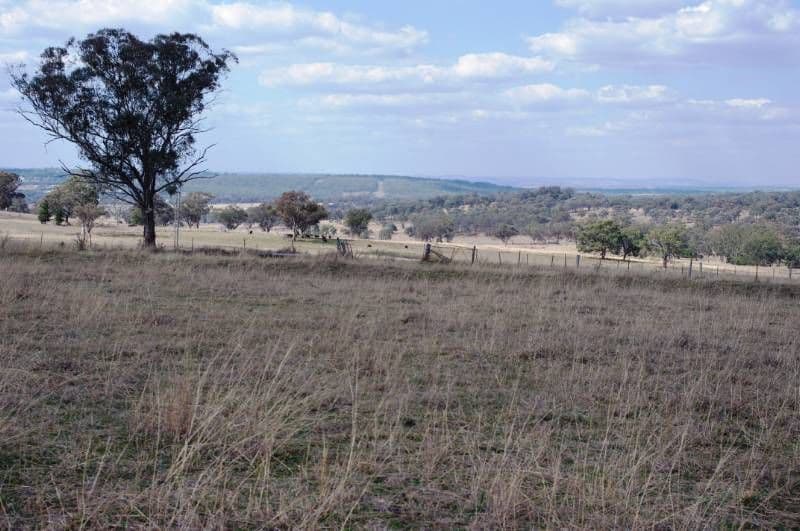 395 Old Bundarra Raod, INVERELL NSW 2360, Inverell - Thumbnail 6