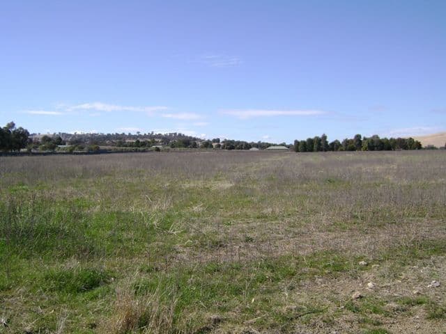  117 Jukes Lane, COWRA NSW 2794, Cowra - Thumbnail 2
