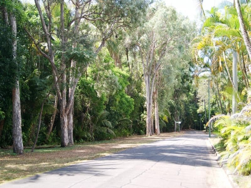 5 LITTLE REEF Street, PORT DOUGLAS QLD 4877, Port Douglas - Thumbnail 7