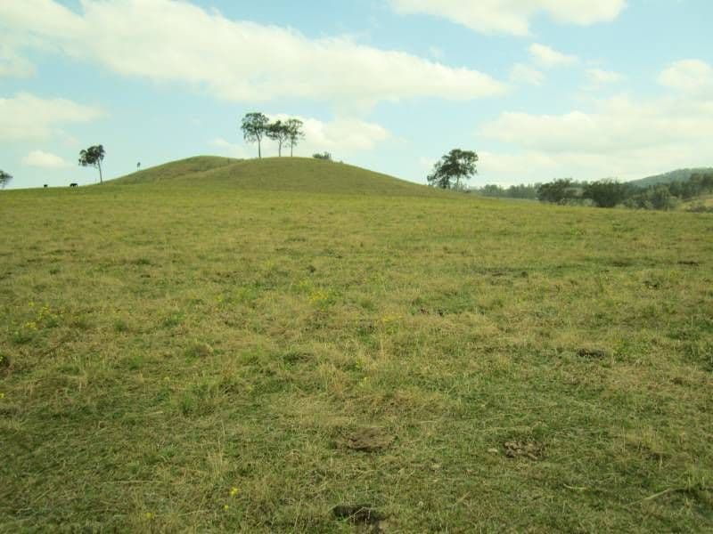 223 Hanleys Creek Road, DUNGOG NSW 2420, Dungog - Thumbnail 3