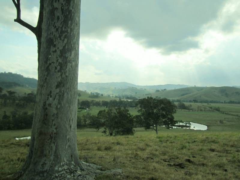 223 Hanleys Creek Road, DUNGOG NSW 2420, Dungog - Thumbnail 5