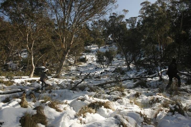 Lot 2 "Eagle View" Callemondah Road, SHANNONS FLAT NSW 2630, Shannons Flat - Thumbnail 5