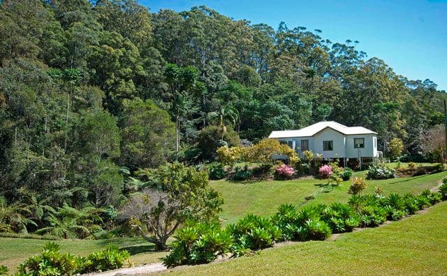 913 Urliup Road, URLIUP NSW 2484, Urliup - Image 1
