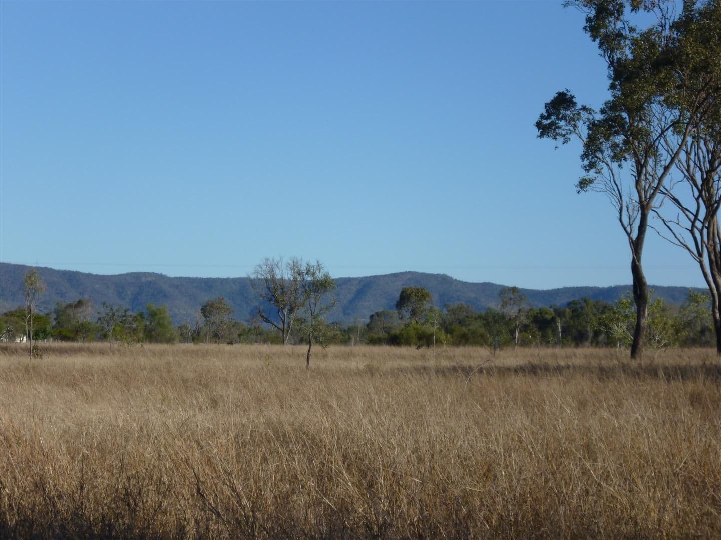 Lot 8 Burnett Highway, BOULDERCOMBE QLD 4702, Bouldercombe - Image 1