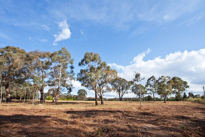 39 Pitts Lane, HARTLEY VALE NSW 2790, Hartley Vale - Thumbnail 6