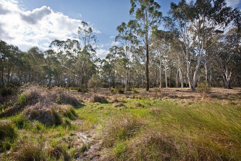 39 Pitts Lane, HARTLEY VALE NSW 2790, Hartley Vale - Thumbnail 5