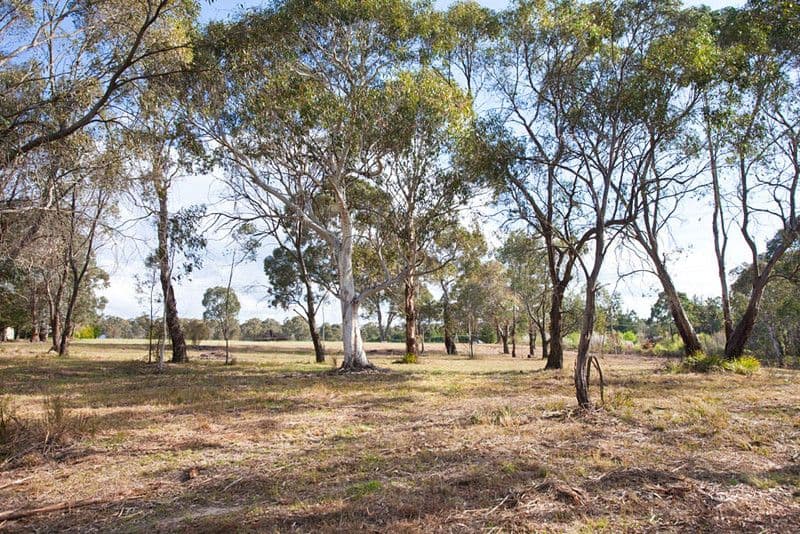39 Pitts Lane, HARTLEY VALE NSW 2790, Hartley Vale - Thumbnail 3