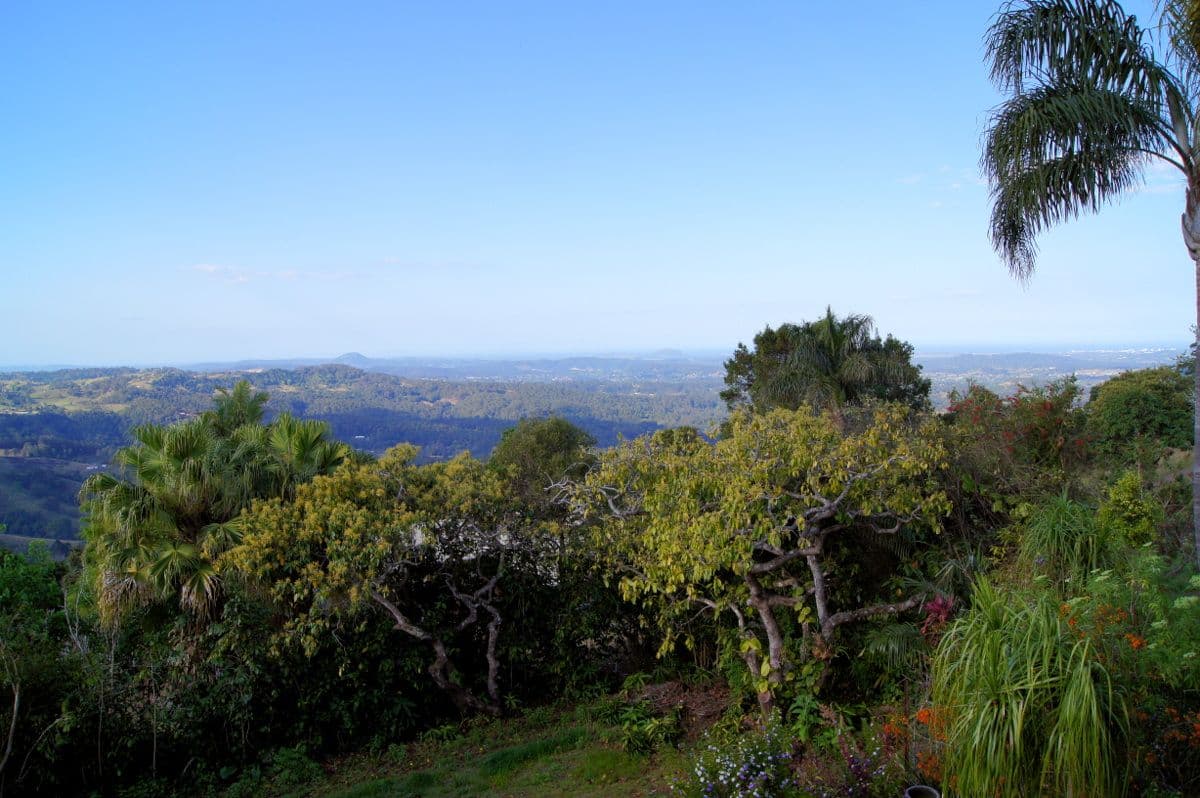 45 Main Street, MONTVILLE QLD 4560, Montville - Thumbnail 8