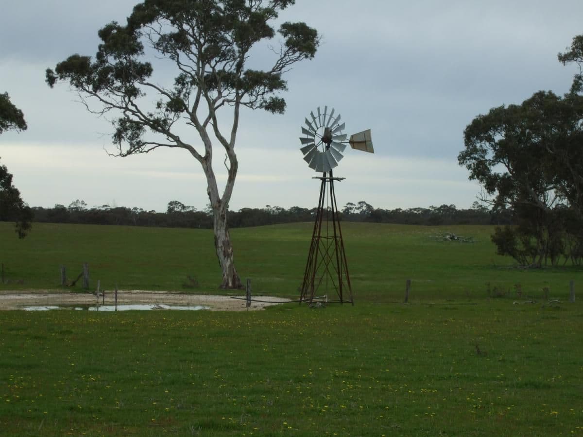 Lot 54 Obst's Road, MUNDULLA SA 5270, Mundulla - Thumbnail 2