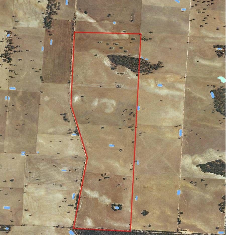 Lot 54 Obst's Road, MUNDULLA SA 5270, Mundulla - Thumbnail 6
