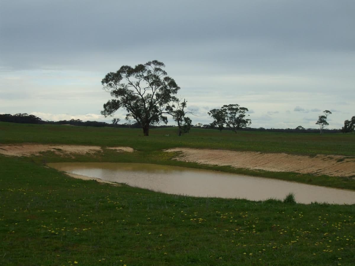 Lot 54 Obst's Road, MUNDULLA SA 5270, Mundulla - Thumbnail 3
