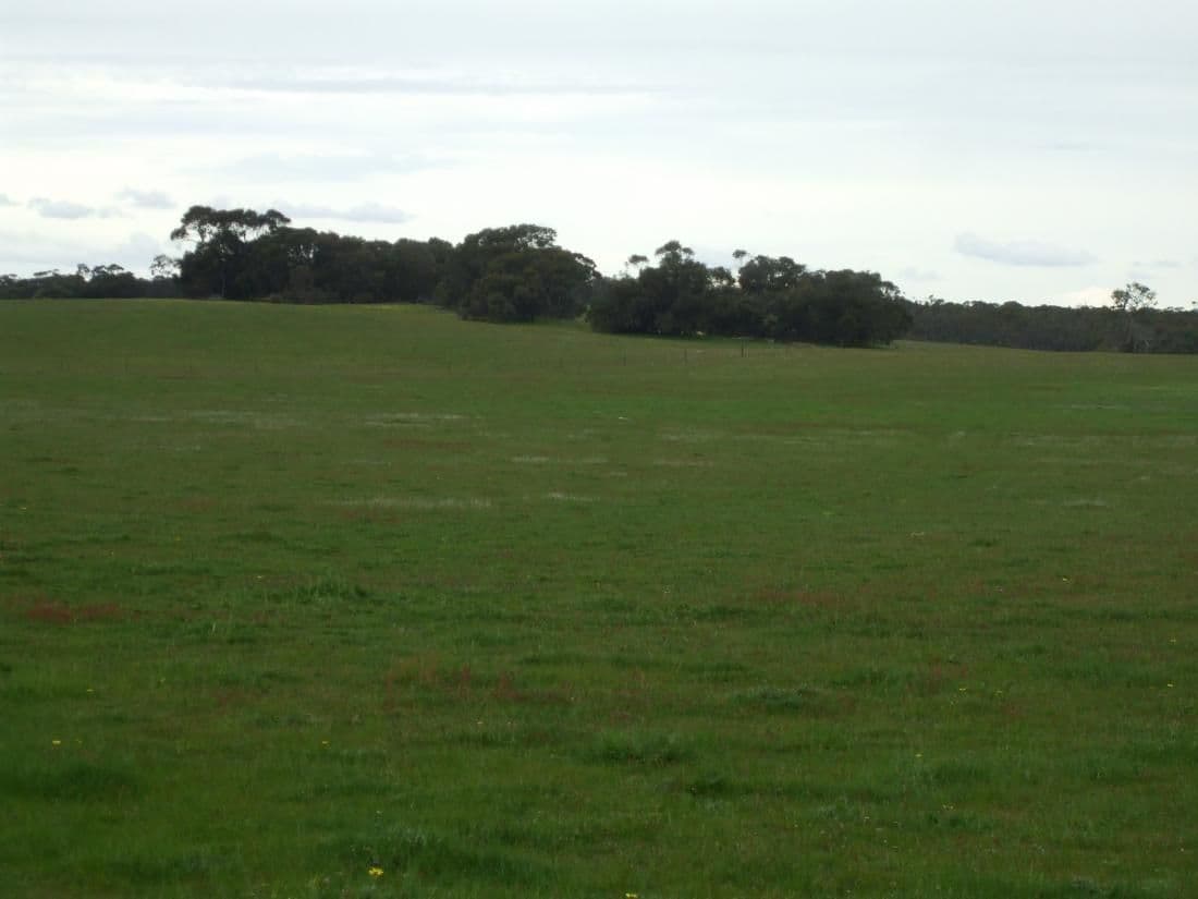 Lot 54 Obst's Road, MUNDULLA SA 5270, Mundulla - Thumbnail 4