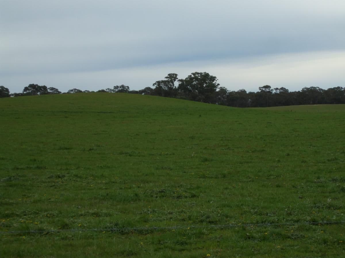 Lot 54 Obst's Road, MUNDULLA SA 5270, Mundulla - Thumbnail 5