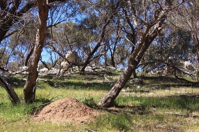 Lot 10 Wooley Road, HARROGATE SA 5244, Harrogate - Thumbnail 7