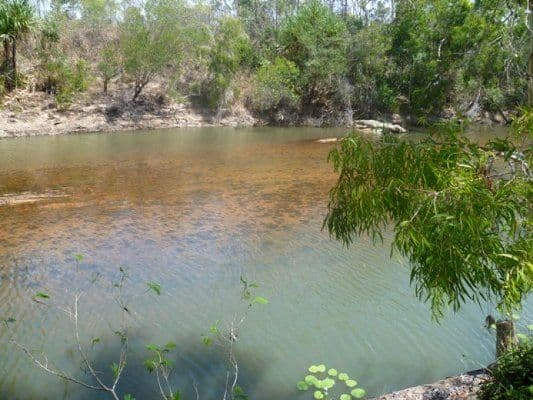 90 Toolakea Beach Road, BLUEWATER QLD 4818, Bluewater - Thumbnail 2