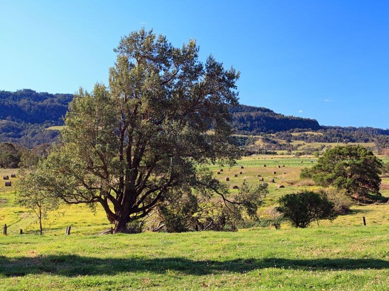 38 Abernethys Lane, MEROO MEADOW NSW 2540, Meroo Meadow - Thumbnail 3