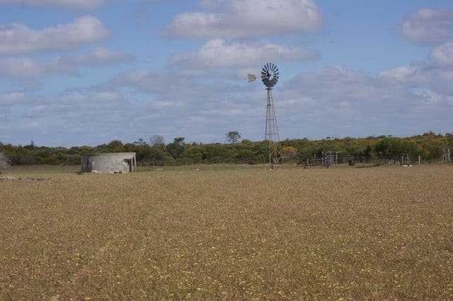 Lot 51 Mt Horner Road West, ALLANOOKA WA 6525, Allanooka - Thumbnail 4