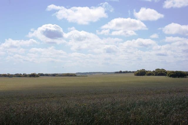 Lot 51 Mt Horner Road West, ALLANOOKA WA 6525, Allanooka - Thumbnail 5