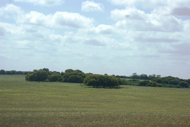 Lot 51 Mt Horner Road West, ALLANOOKA WA 6525, Allanooka - Thumbnail 2