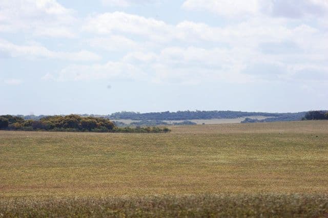 Lot 51 Mt Horner Road West, ALLANOOKA WA 6525, Allanooka - Thumbnail 6