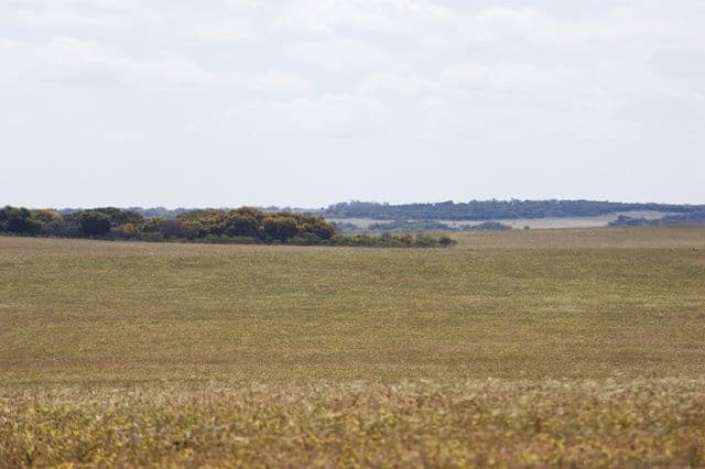 Lot 51 Mt Horner Road West, ALLANOOKA WA 6525, Allanooka - Thumbnail 7
