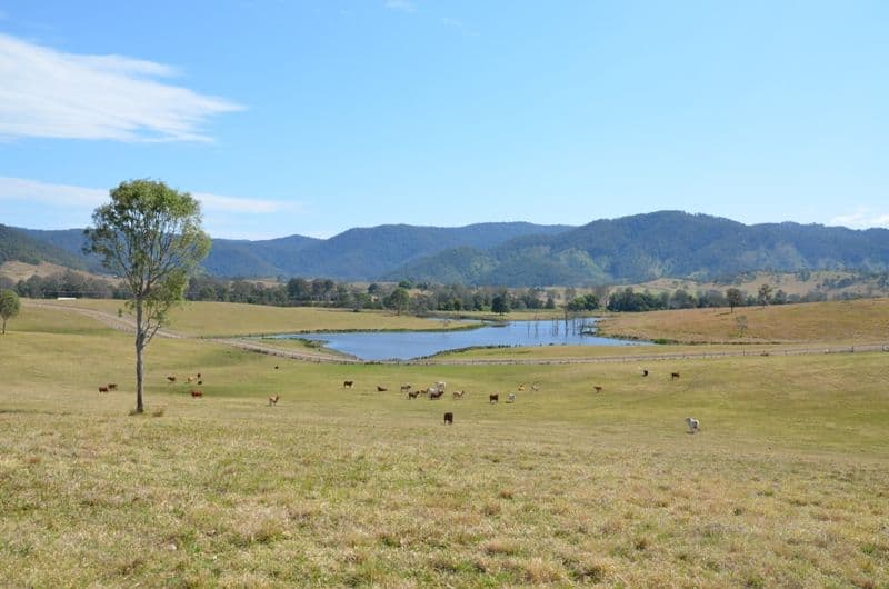 CONONDALE QLD 4552, Conondale - Image 1
