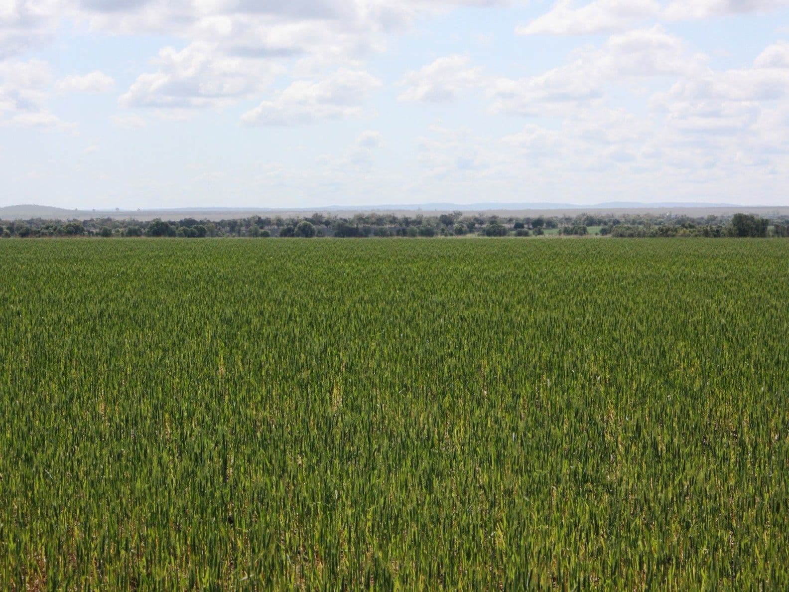 lot 1 Kenlogan Rd, Akamarroo, CLERMONT QLD 4721, Clermont - Thumbnail 7