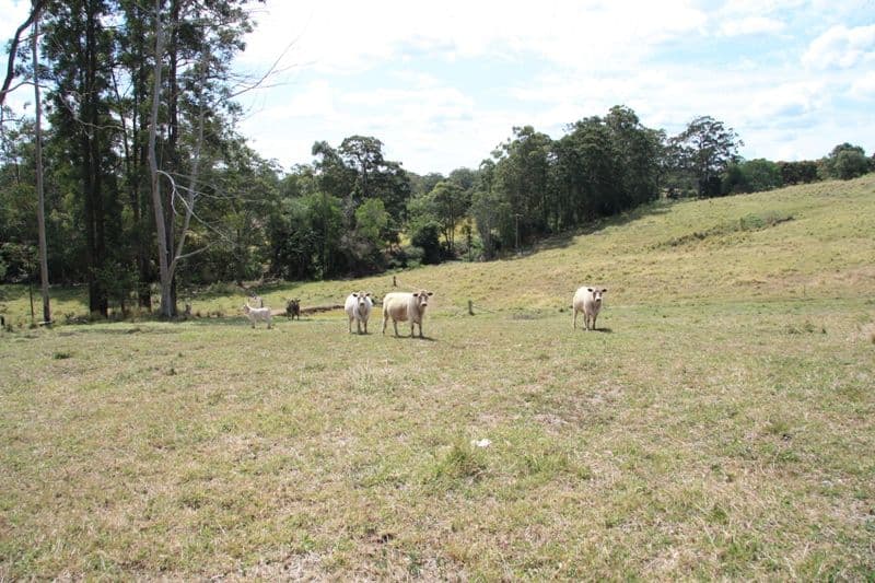 WILSONS POCKET QLD 4570, Wilsons Pocket - Thumbnail 2