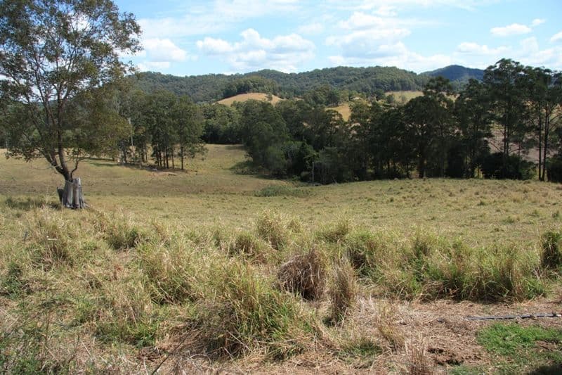 WILSONS POCKET QLD 4570, Wilsons Pocket - Thumbnail 6