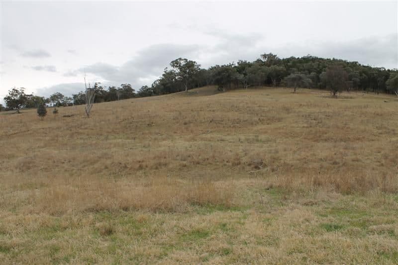 WELLINGTON NSW 2820, Wellington - Image 1