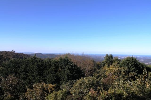 31 Witherby Crescent, TAMBORINE MOUNTAIN QLD 4272, Tamborine Mountain - Thumbnail 6