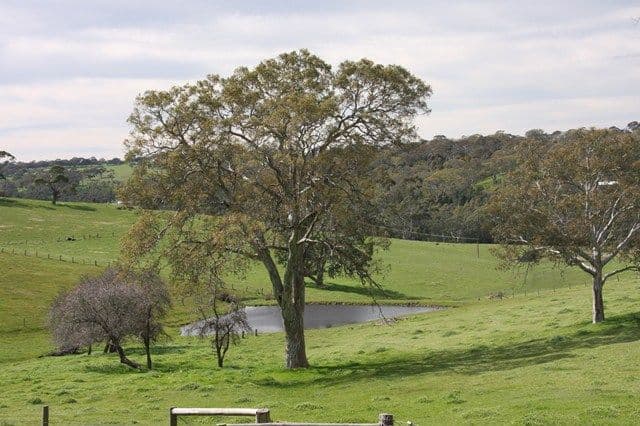2637 Strathalbyn Road, MACCLESFIELD SA 5153, Macclesfield - Image 1