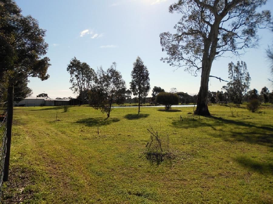 Lot 10 Ramsay Terrace, BORDERTOWN SA 5268, Bordertown - Thumbnail 8