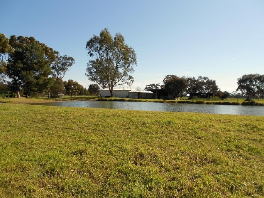 Lot 10 Ramsay Terrace, BORDERTOWN SA 5268, Bordertown - Thumbnail 5