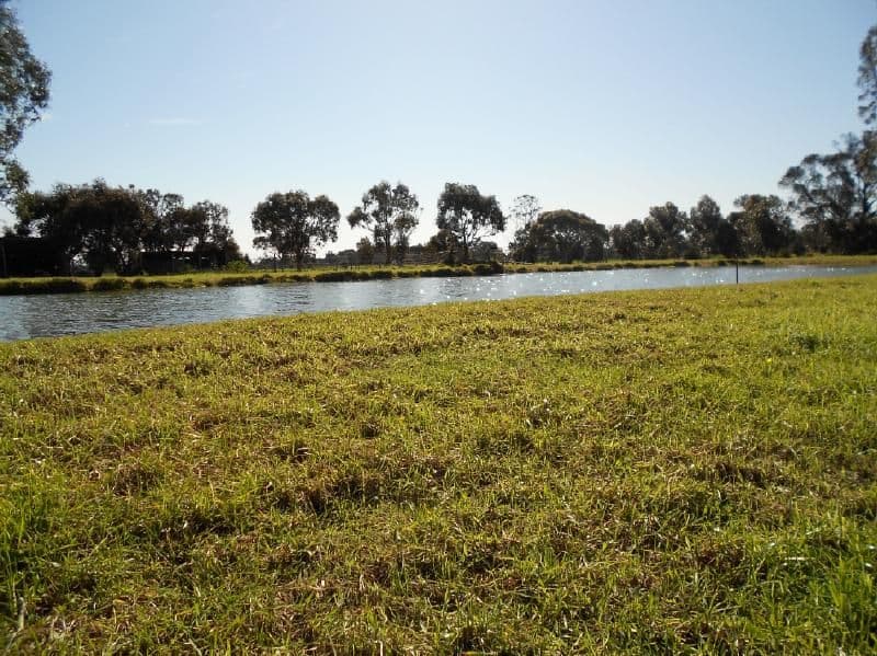 Lot 10 Ramsay Terrace, BORDERTOWN SA 5268, Bordertown - Thumbnail 7