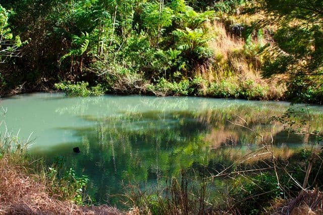 23 Slashpine Road, GLENGARRIE NSW 2486, Glengarrie - Thumbnail 3