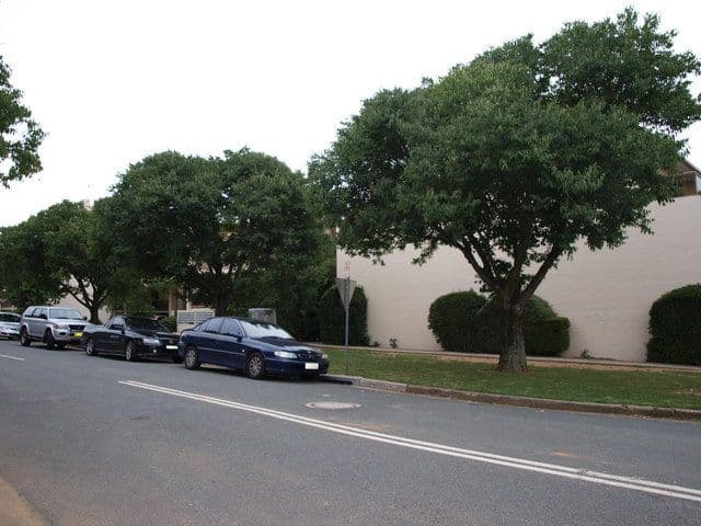 69-47 Kennedy Street, KINGSTON ACT 2604, Kingston - Thumbnail 3