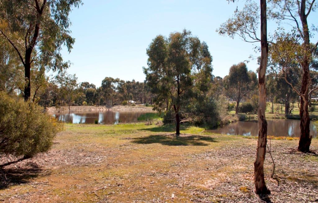 20 Johnson Road, TALBOT VIC 3371, Talbot - Thumbnail 8