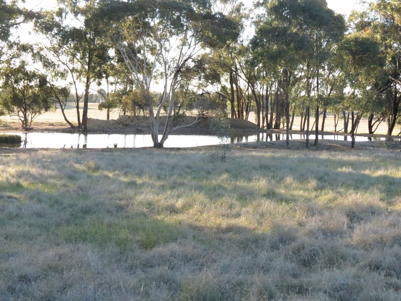 741 Lot 31 Thanowring Road, TEMORA NSW 2666, Temora - Thumbnail 8