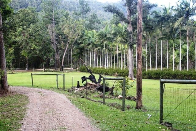 353 Mount Gardiner Road, BEMERSIDE QLD 4850, Bemerside - Thumbnail 5