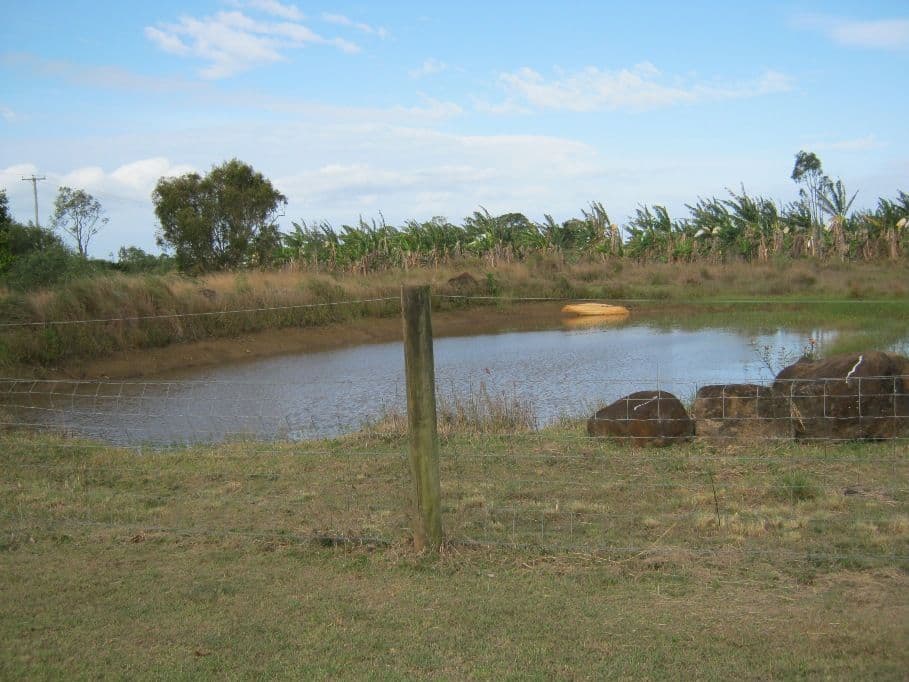 71 Back Springfield Road, Woongarra QLD 4670, Woongarra - Thumbnail 2