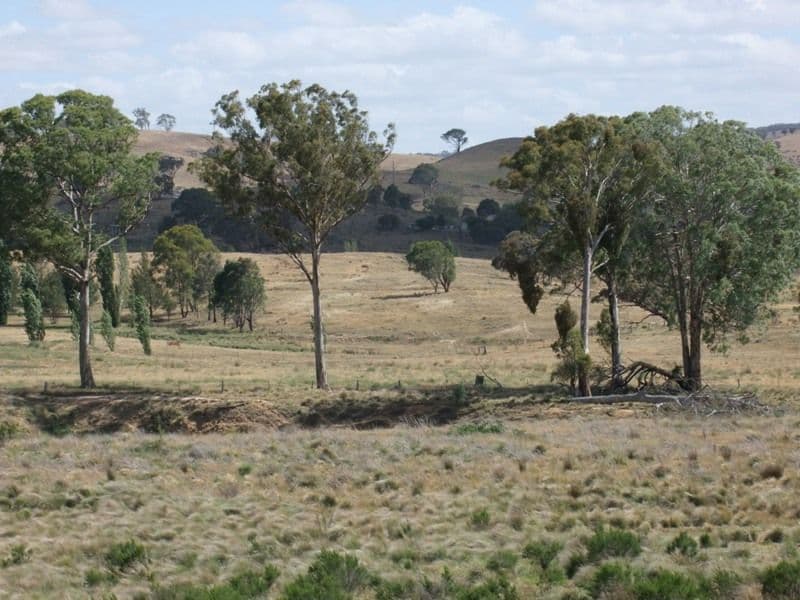 ORANGE NSW 2800, Orange - Thumbnail 3