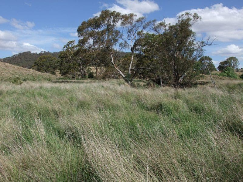 ORANGE NSW 2800, Orange - Image 1