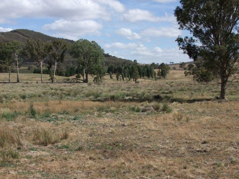 ORANGE NSW 2800, Orange - Thumbnail 5