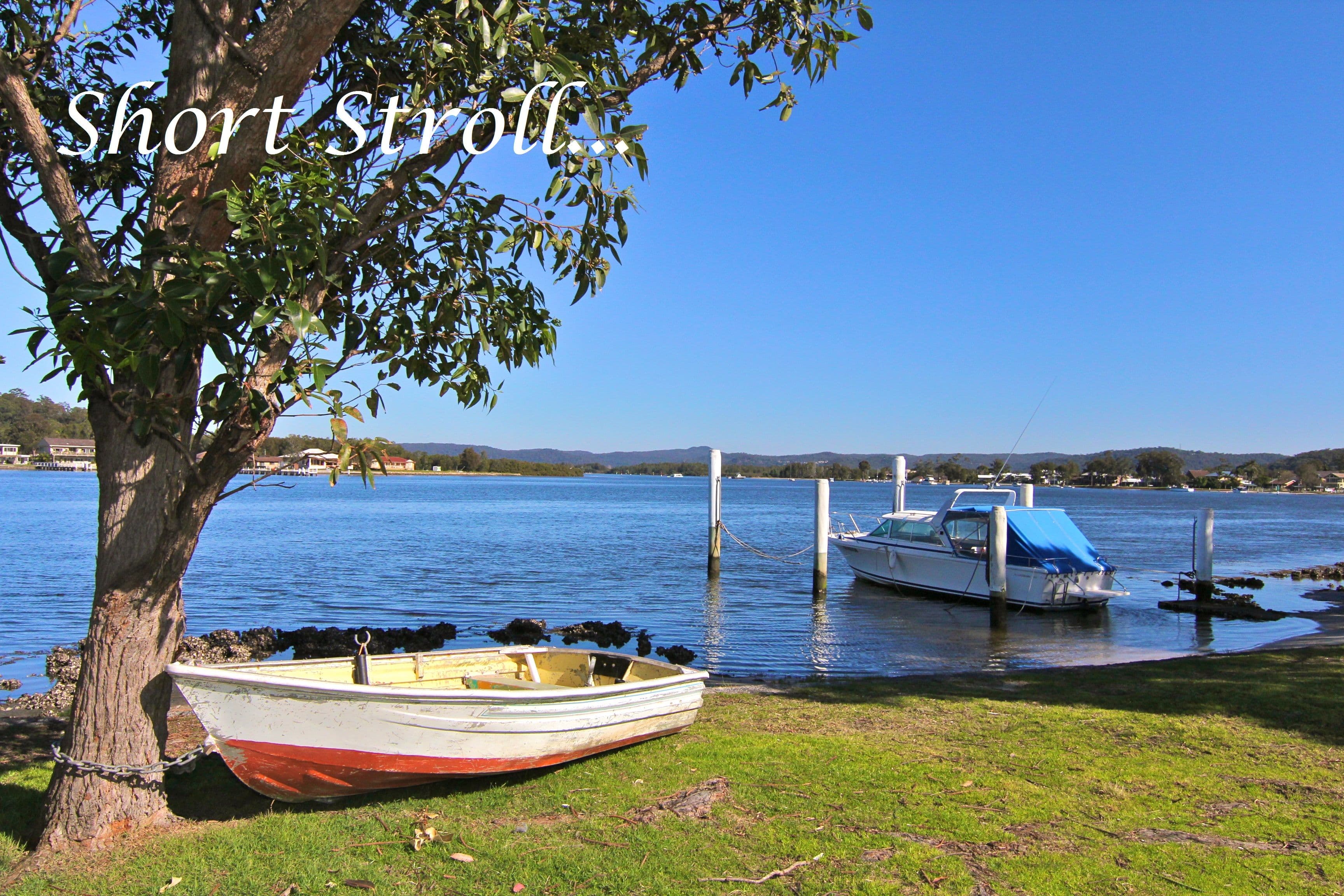 62 Davis Avenue, DAVISTOWN NSW 2251, Davistown - Thumbnail 8