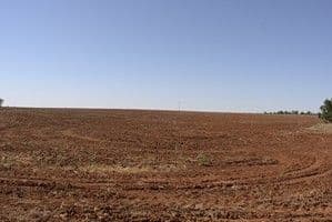 'MOORTANGI' Simpkin Lane and Huxley Road, TABBITA NSW 2652, Tabbita - Thumbnail 2